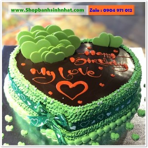 Bánh Sinh Nhật Socola - S311